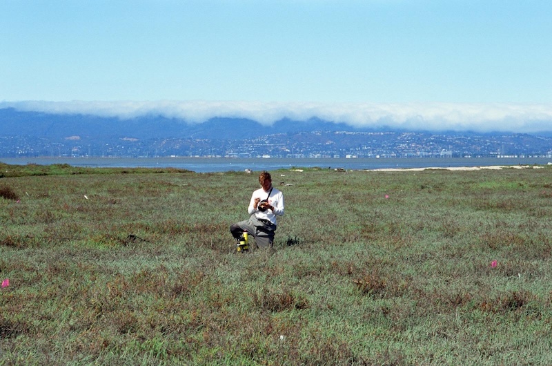 Photo of a dry marshland with mudflats and mountains in the background. I am standing in the foreground, taking notes in a small notebook, with fog hovering in the distance.