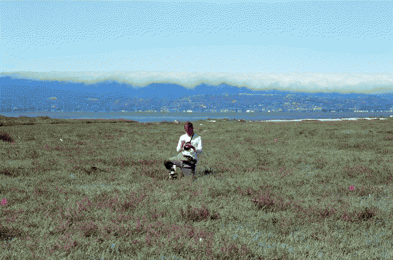 Photo of a dry marshland with mudflats and mountains in the background. I am standing in the foreground, taking notes in a small notebook, with fog hovering in the distance.