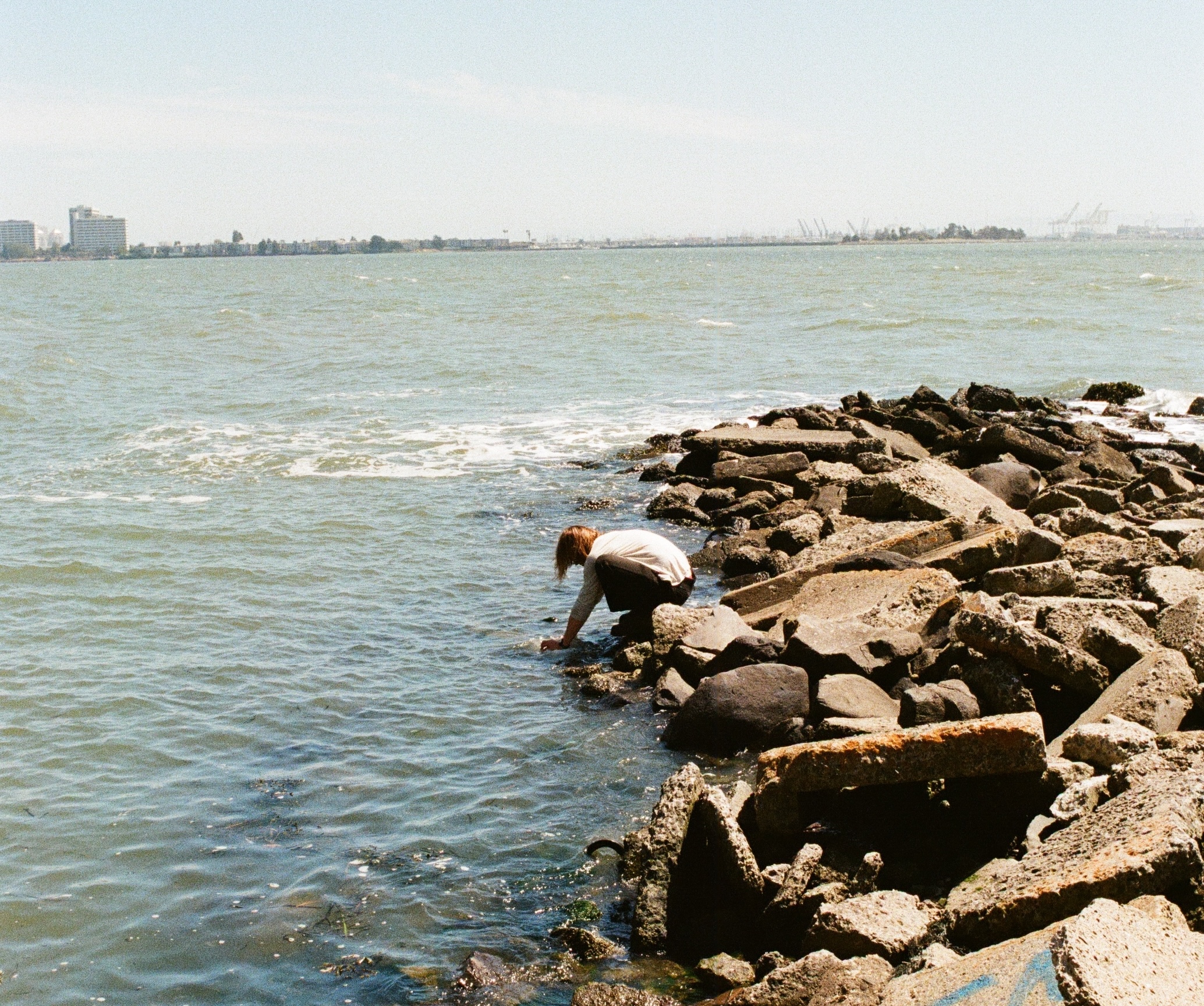 Photo looking over San Francisco Bay from shore on a bright, sunny day. Crouched on a rocky breakwater in the foreground, my hands are in the water to sampleto sample the water.