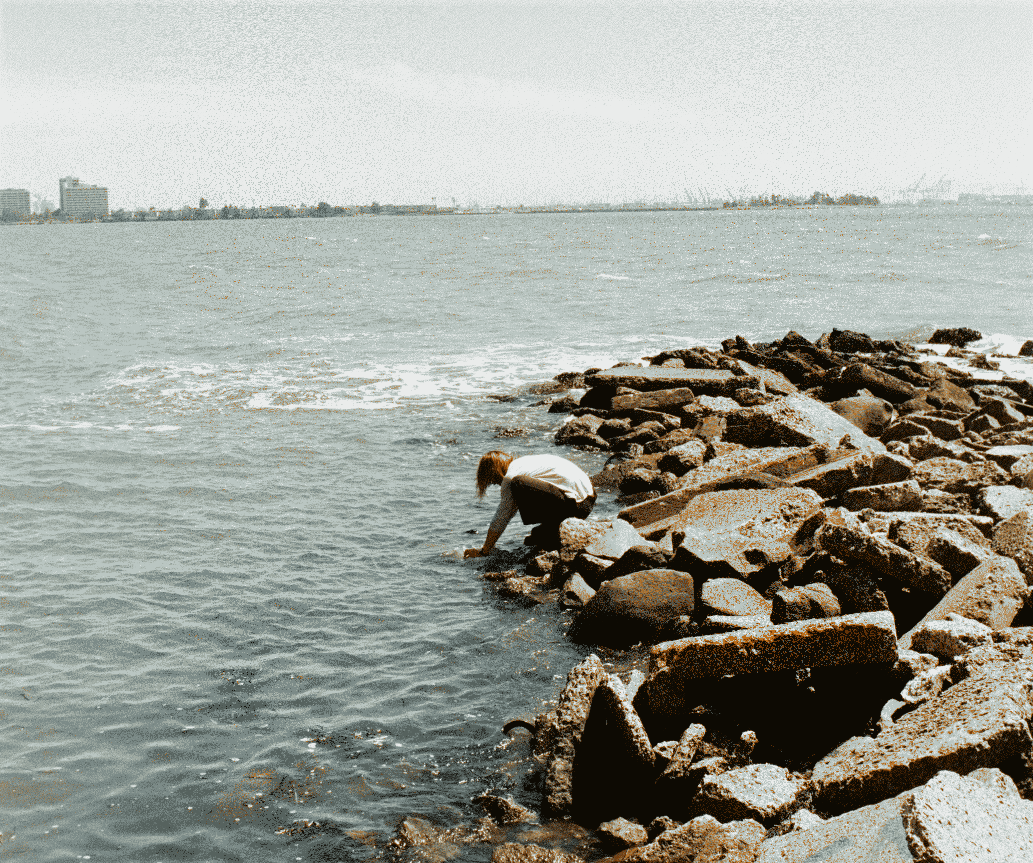 Photo looking over San Francisco Bay from shore on a bright, sunny day. Crouched on a rocky breakwater in the foreground, my hands are in the water to sampleto sample the water.